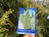 5 Gal Emerald Green Arborvitae, Qty 20 - 5