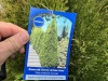 5 Gal Emerald Green Arborvitae, Qty 20 - 5