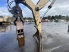 2001 Thunderbird 1242 Log Loader - 15