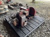 Water Pumps, Qty 2 - 3