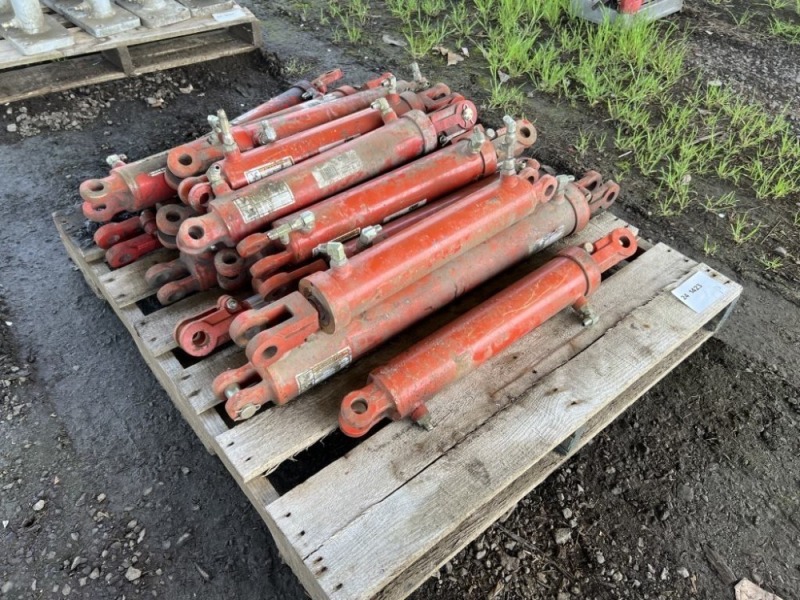 Chief Hydraulic Cylinders Qty 15