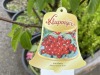 Cherry Trees Qty: 3 - 4