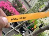 Combination Pear Tree Qty: 2 - 3