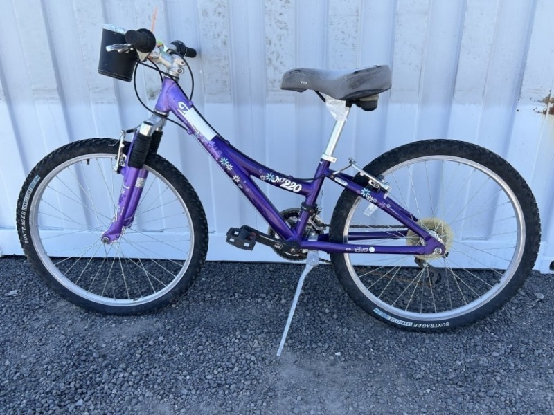 Trek MT220 Girls Bike