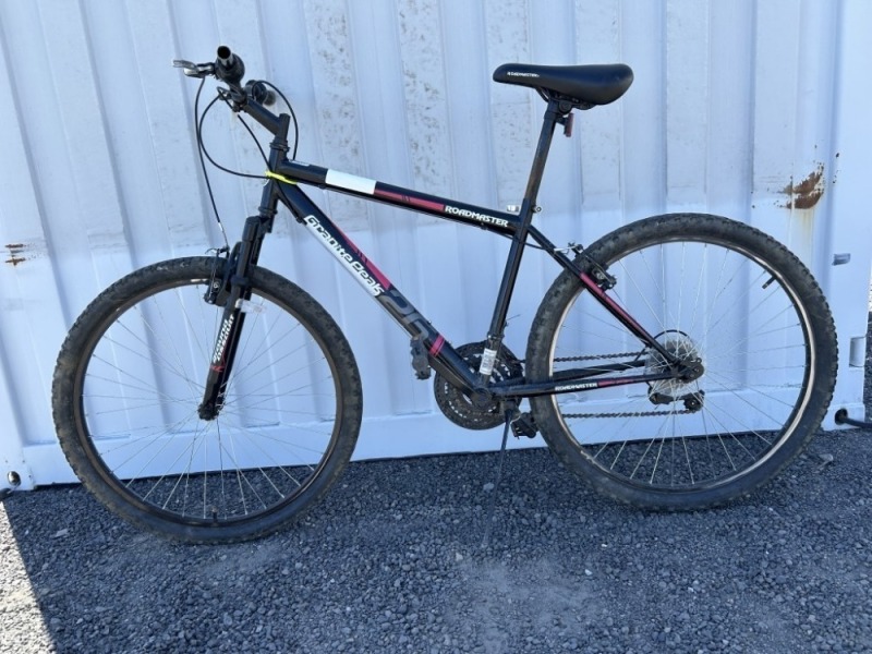 Roadmaster Mountain Bike