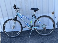 Schwinn Girls Bike