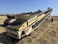 2008 Masaba 36x60 Radial Conveyor