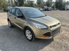 2014 Ford Escape SUV - 2