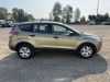 2014 Ford Escape SUV - 3