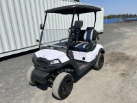 2022 Vivid EV Peak Golf Cart