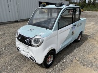 2024 Raccoon RC-G200 Electric Cart