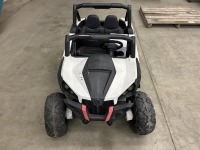 Electric Car Buggy Superstar 4X4