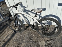 Specialized Mountain Bike