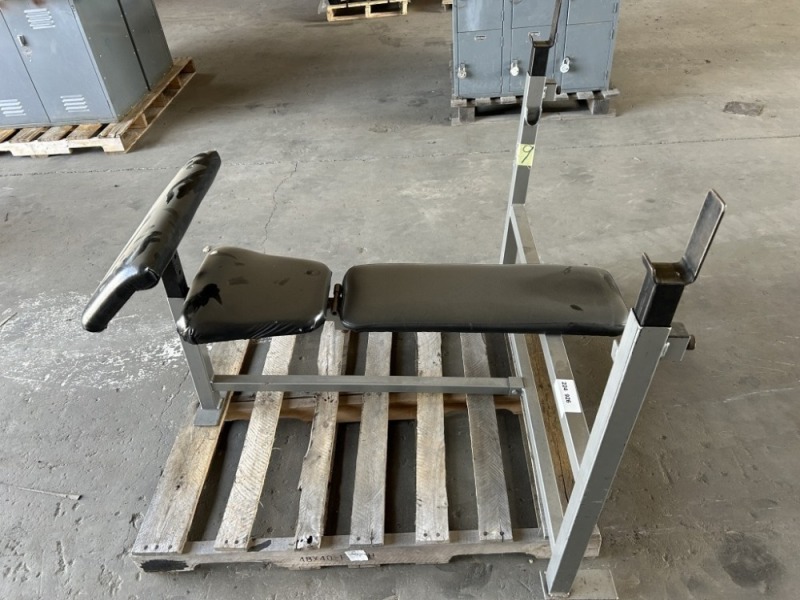 Weight Bench Combo