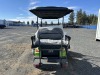 2024 Raccoon RC-G4.0 Electric Golf Cart - 4