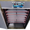 2024 TMG FCP53 Incubator - 11