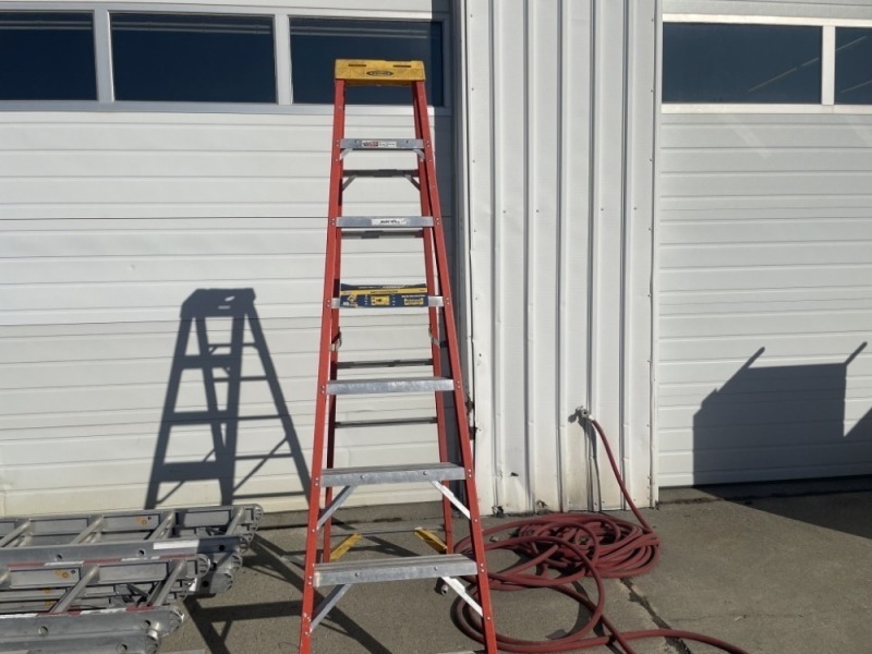 Werner Pro Series 8' Ladder