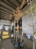 Oak Trees Qty. 4 - 3