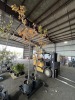 Oak Trees Qty. 4 - 4