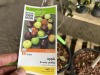 Combination Espalier Apple Trees Qty. 3 - 4
