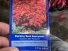 Burning Bush Qty. 12 - 4