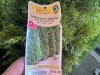 Emerald Green Arborvitae Qty. 10 - 5