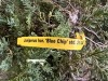 Blue Chip Juniper Tree Qty. 6 - 4