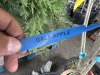 Combination Apple Trees Qty. 2 - 6
