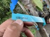 Combination Apple Trees Qty. 2 - 7