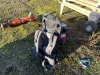 Backpack Concrete Vibrator - 3