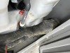 Talco Portable Fire Suppression System - 17