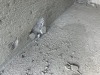 Concrete Catch Basin - 8
