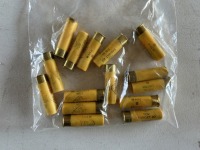 20 Gauge Shells