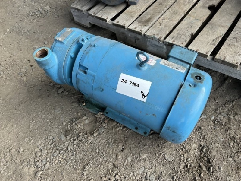 Paco Pumps Water Pump Motor