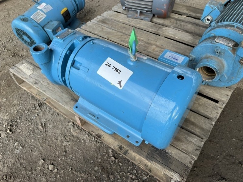 Paco Pumps Water Pump Motor