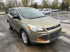 2014 Ford Escape SUV - 2