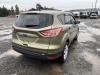 2014 Ford Escape SUV - 4