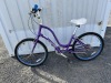 Electra Townie Bicycle