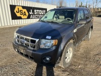 2011 Ford Escape XLT SUV