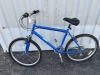 Nishiki 20" Mountain Bike