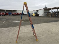 Werner 8' Ladder