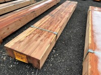 Glulam Beam - 8 5/8"x21"x12'3 1/2"