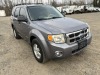 2008 Ford Escape XLT SUV - 2