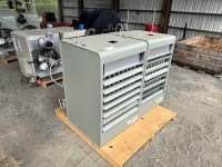 Modine PDP 250,000 BTU Heaters