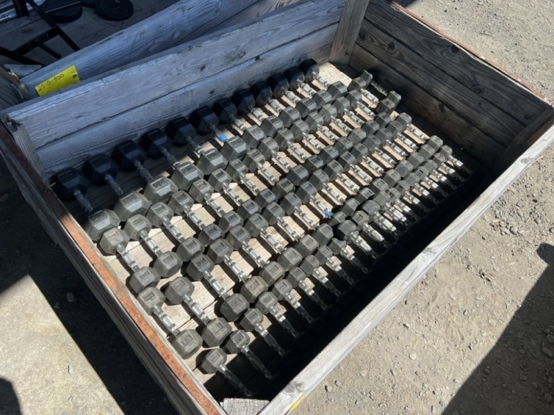 Rogue Dumbbells, Qty. 66