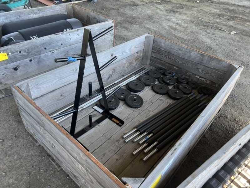 Ivanko Weight Plates & Body Solid Rack