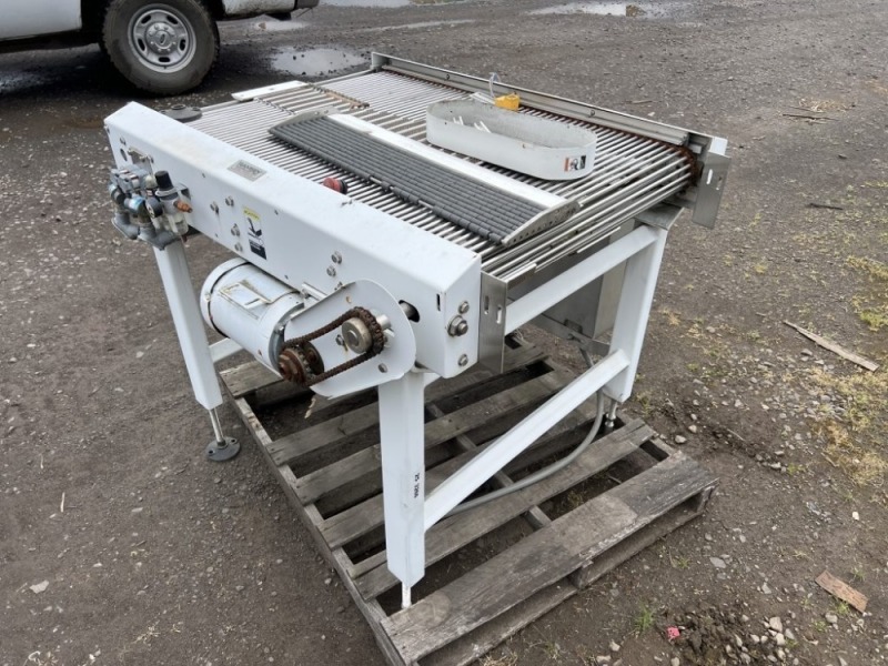 Ramsey Flow Divider Single Lane Conveyor