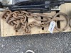 Antique Logging Chain