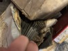 Assorted Tools & Equipment - 13