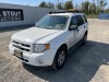 2010 Ford Escape Hybrid SUV